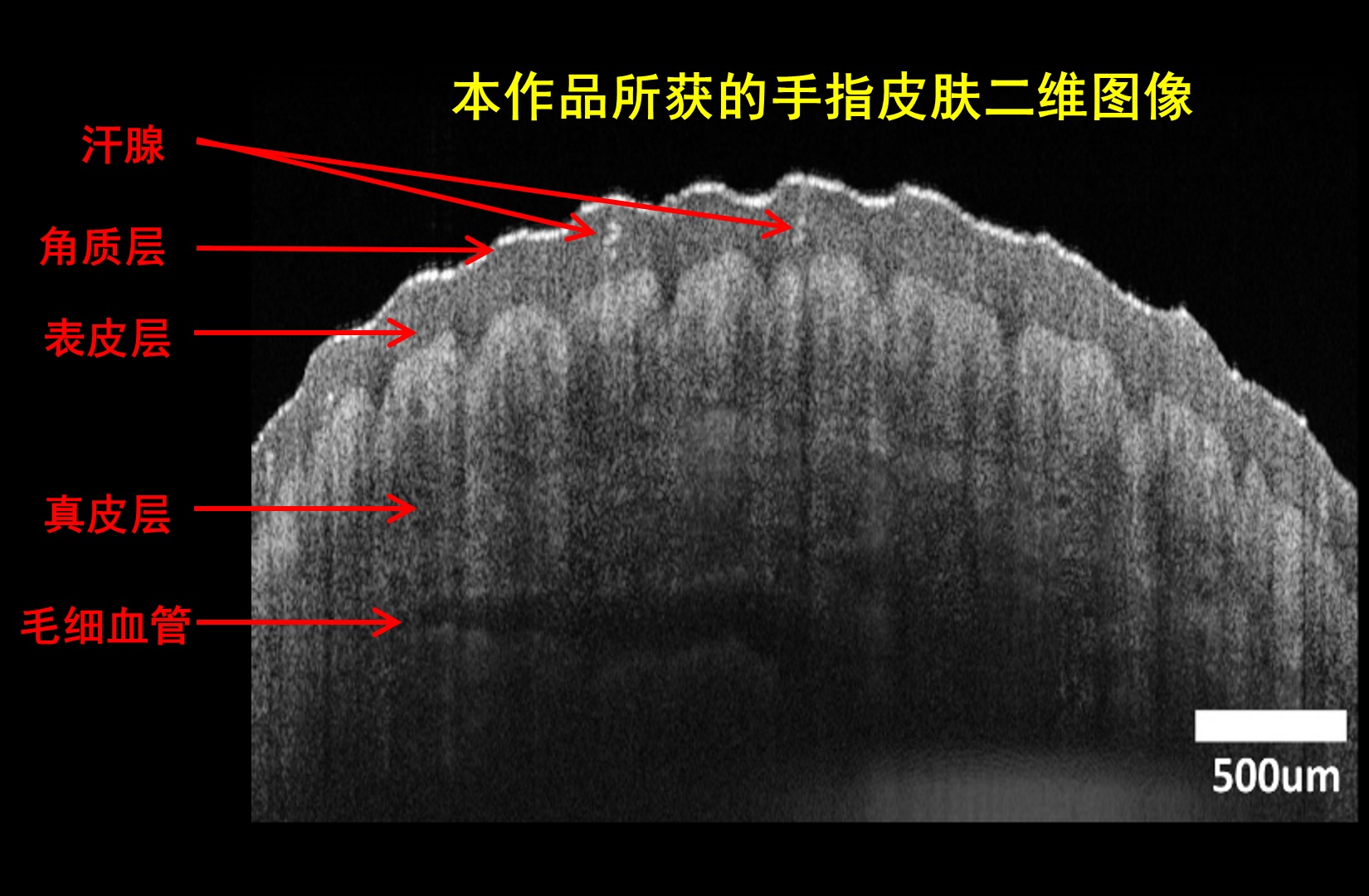 bv伟德国际1946官网