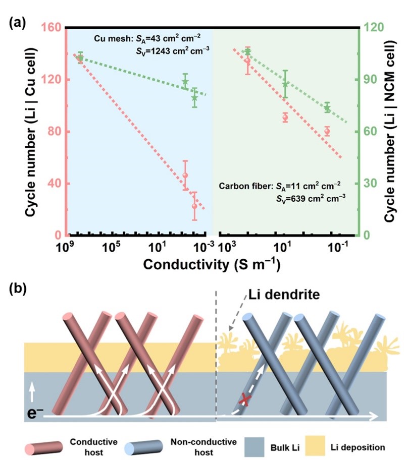 bv伟德国际1946官网