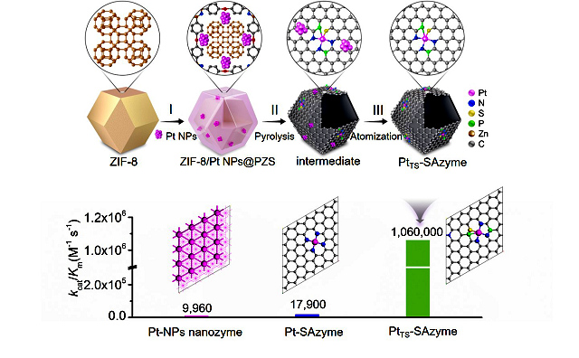 bv伟德国际1946官网