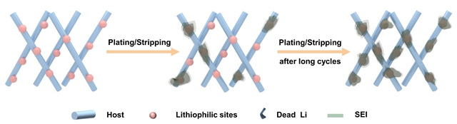 bv伟德国际1946官网
