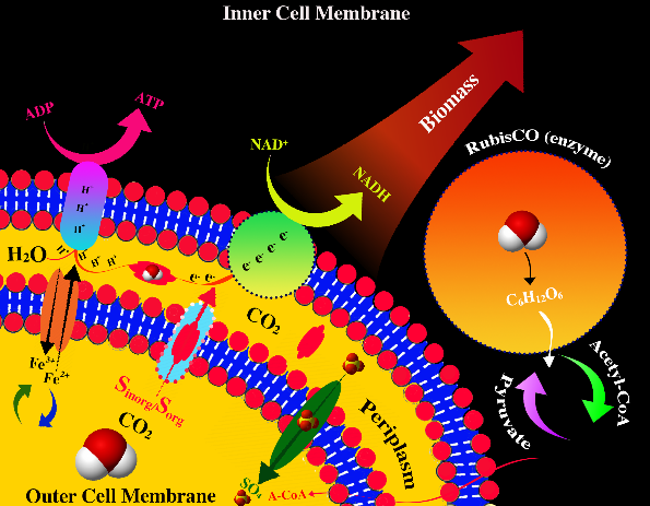 bv伟德国际1946官网