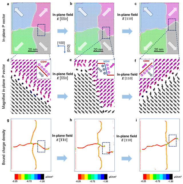 bv伟德国际1946官网