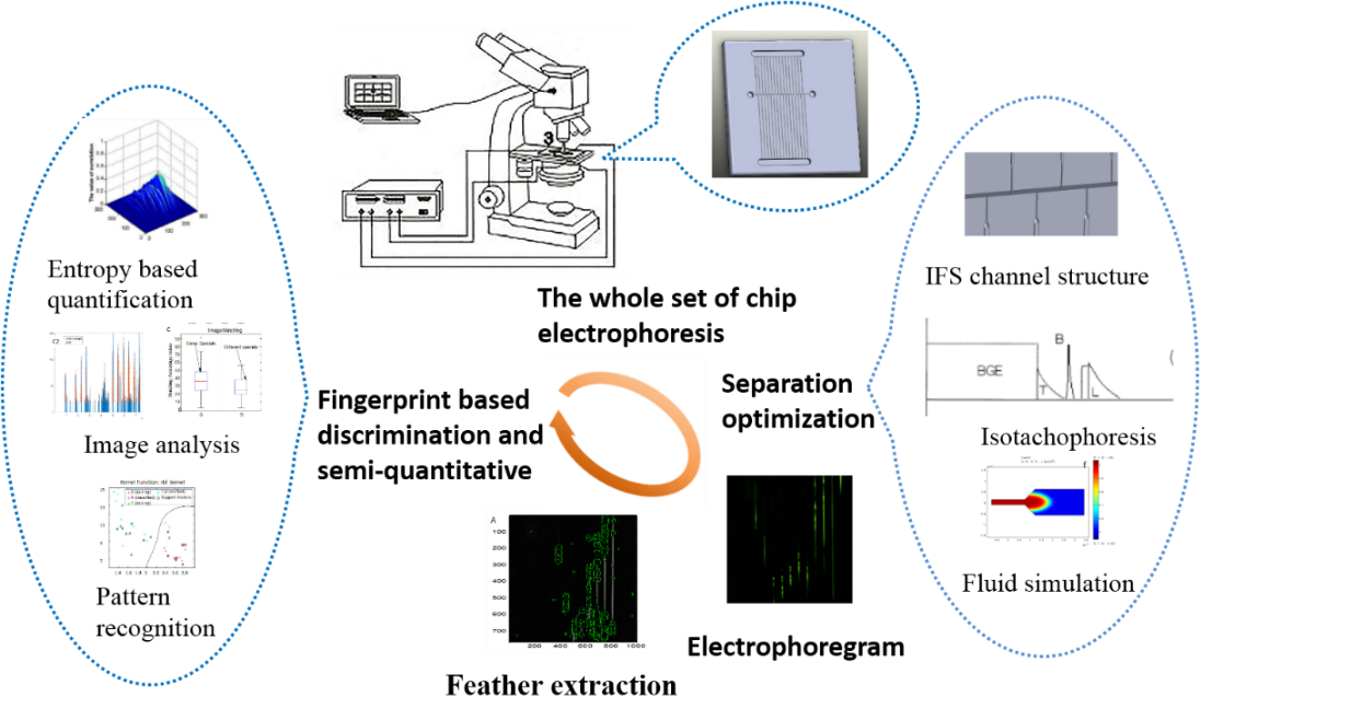 bv伟德国际1946官网
