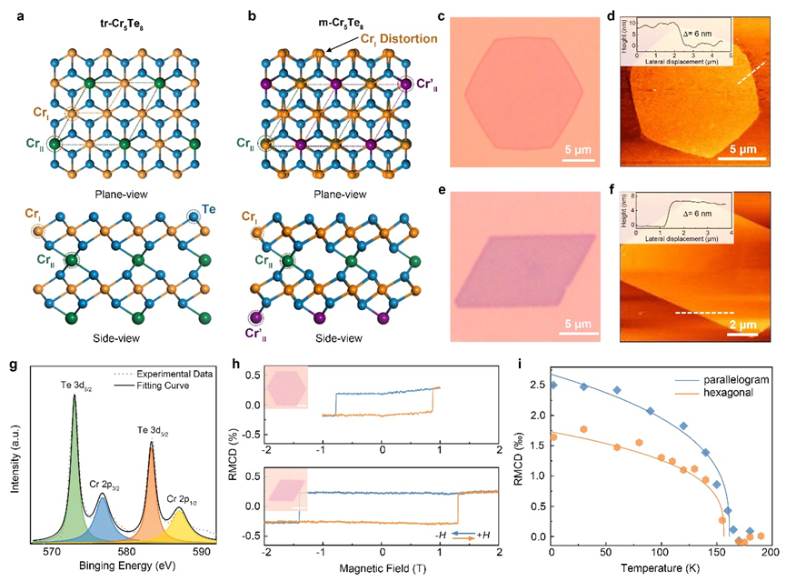 bv伟德国际1946官网