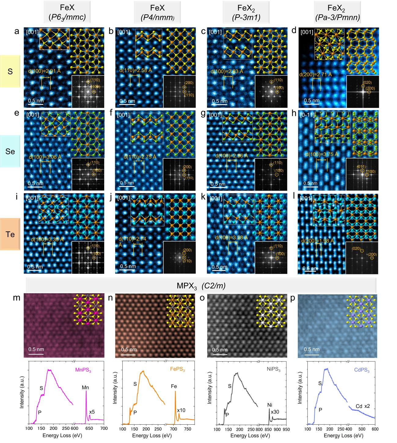 bv伟德国际1946官网