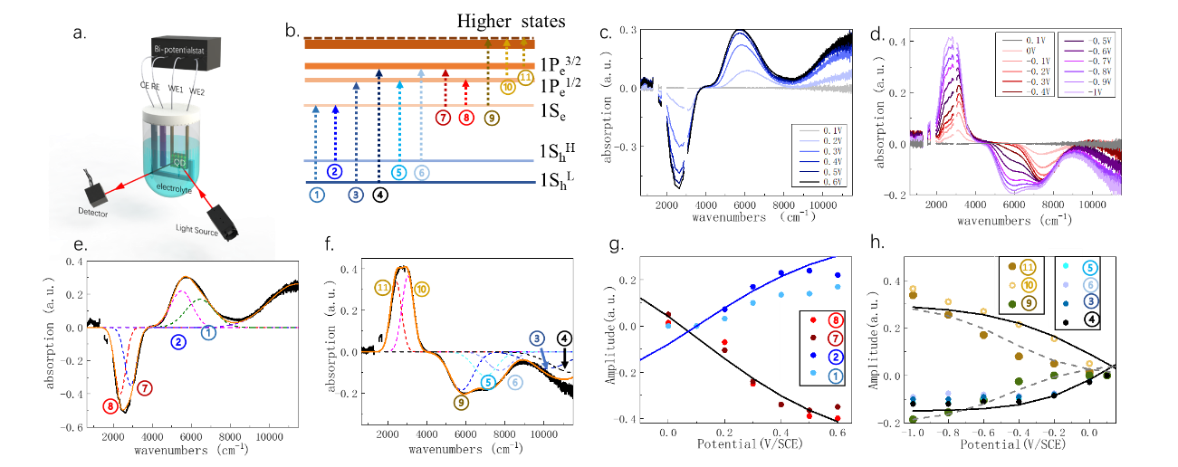 bv伟德国际1946官网