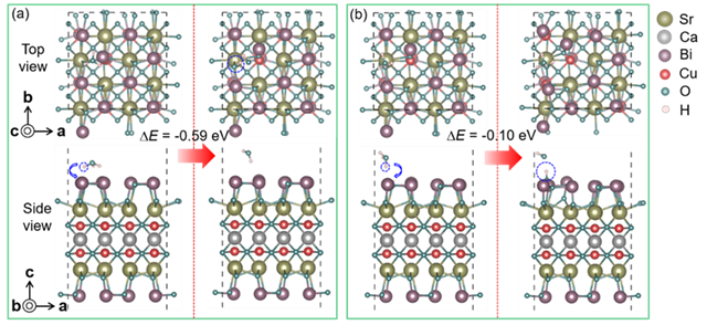 bv伟德国际1946官网