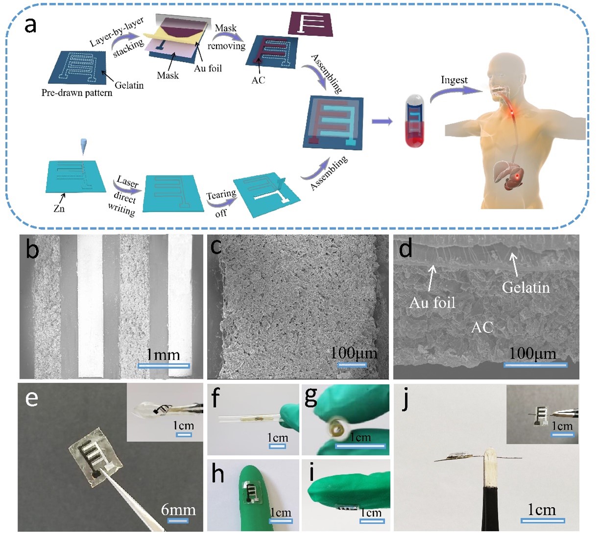 bv伟德国际1946官网