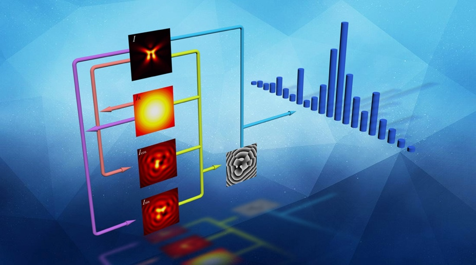 bv伟德国际1946官网