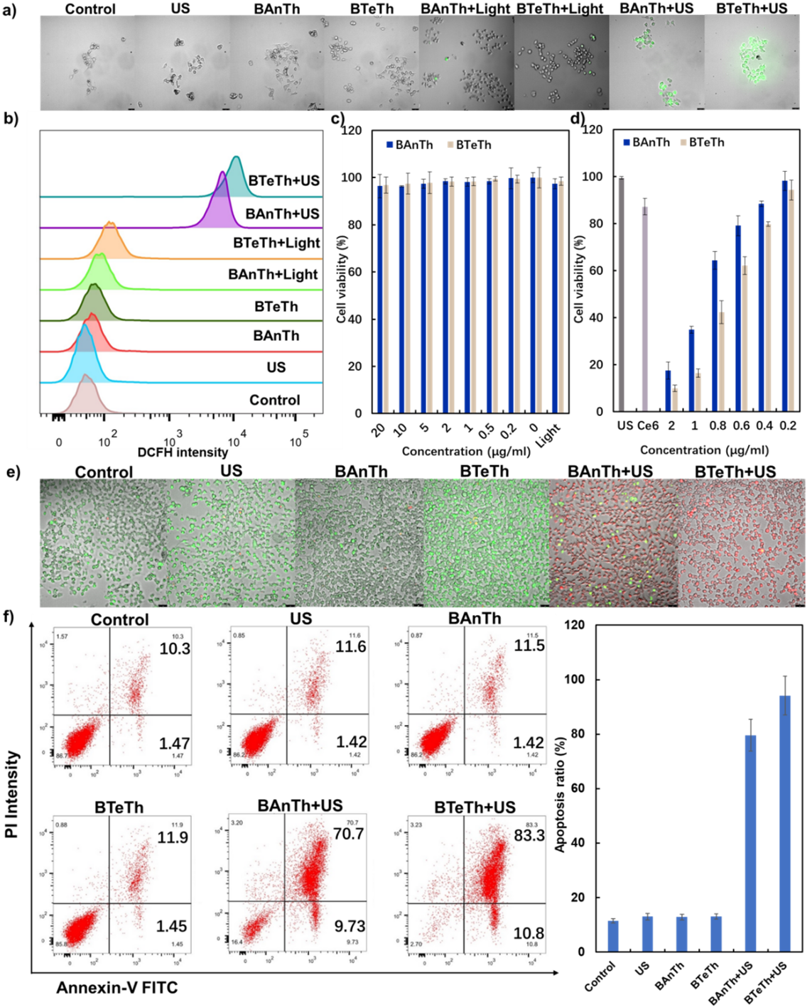 bv伟德国际1946官网