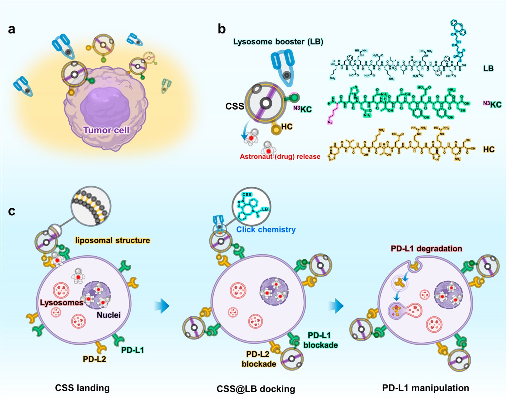 bv伟德国际1946官网