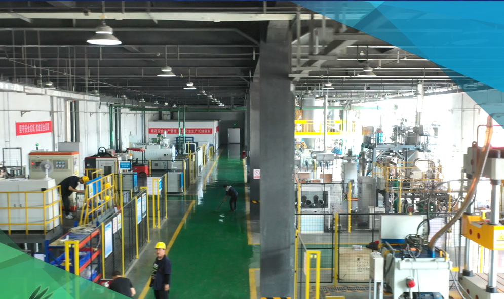 bv伟德国际1946官网