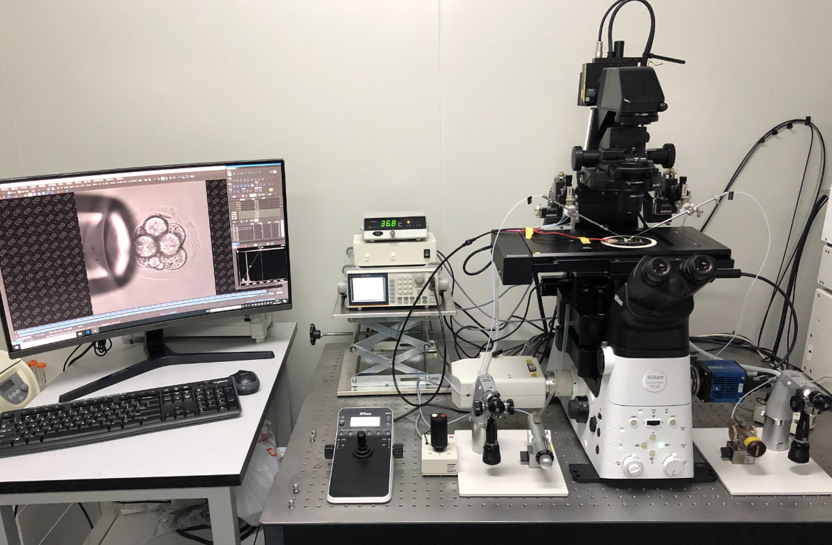 bv伟德国际1946官网