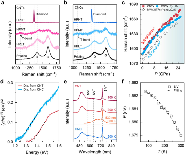bv伟德国际1946官网