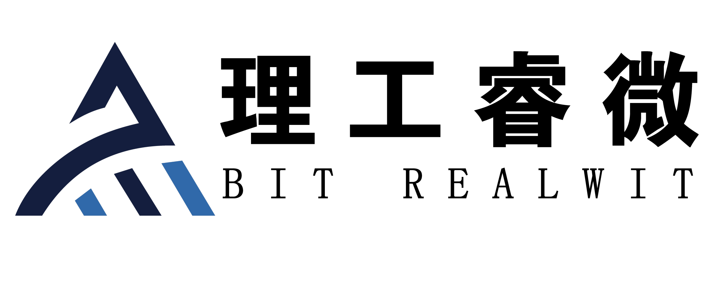 理工睿微logo - 副本.png