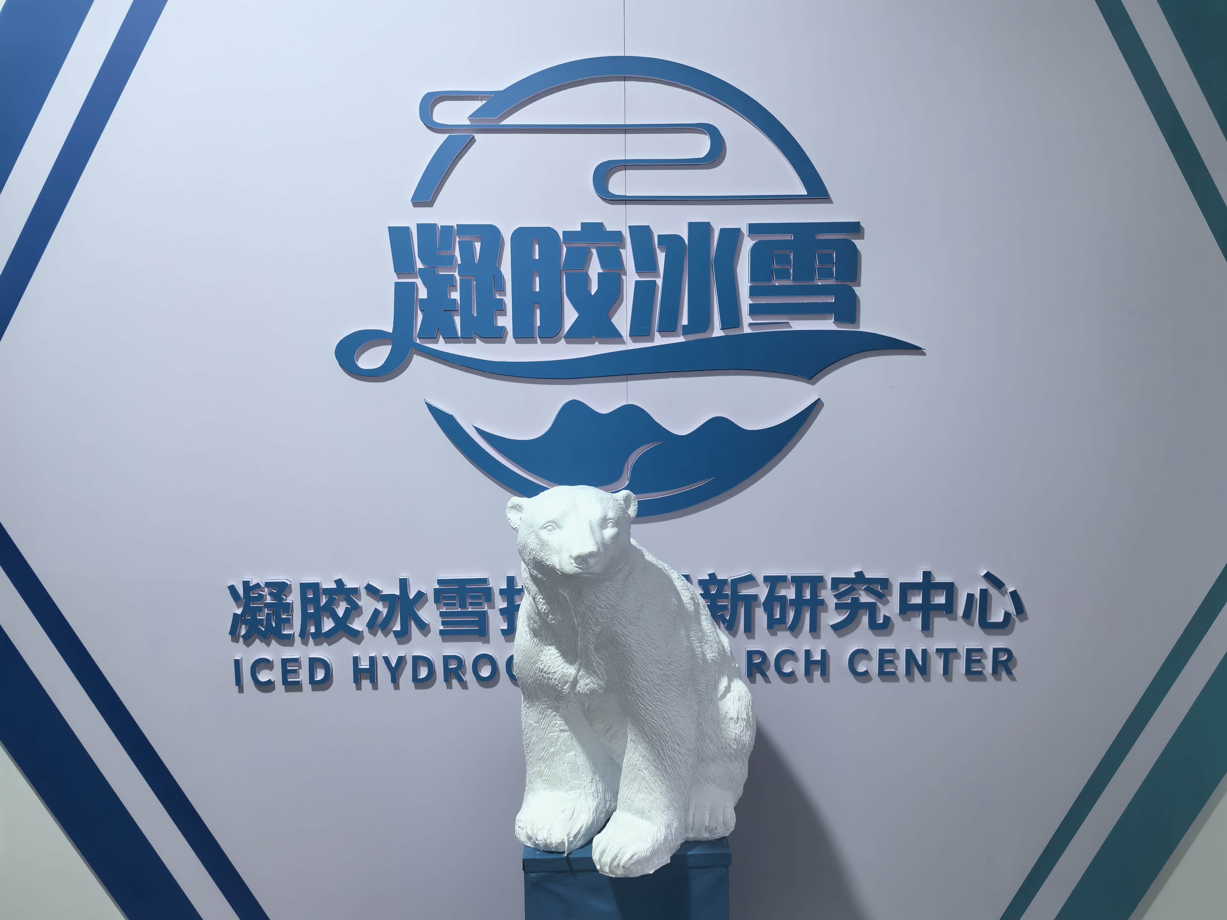 bv伟德国际1946官网